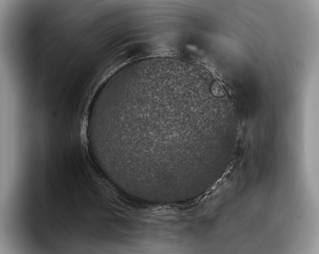 X0000092230146200709141112