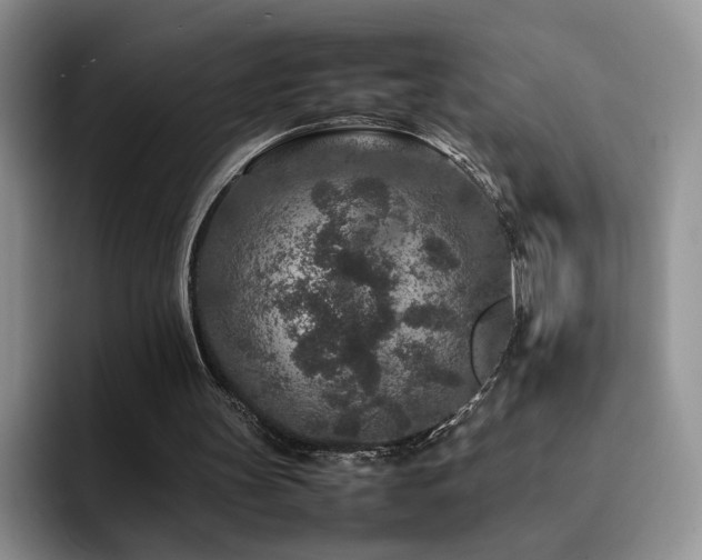 X0000092230147200709141112