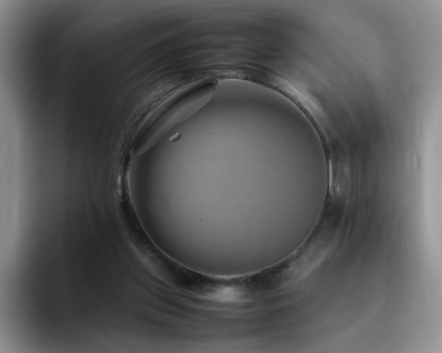 X0000092230157200709141112