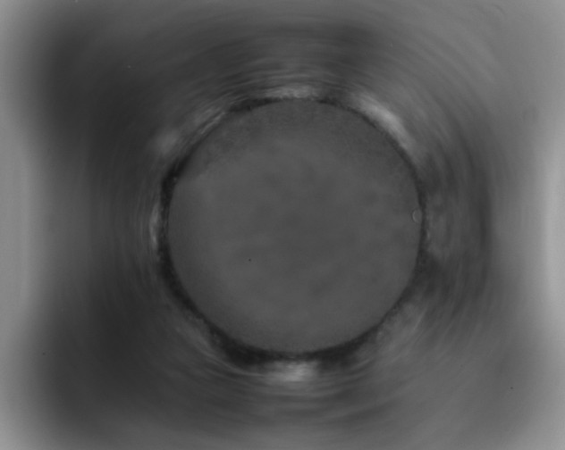 X0000092230161200709141112