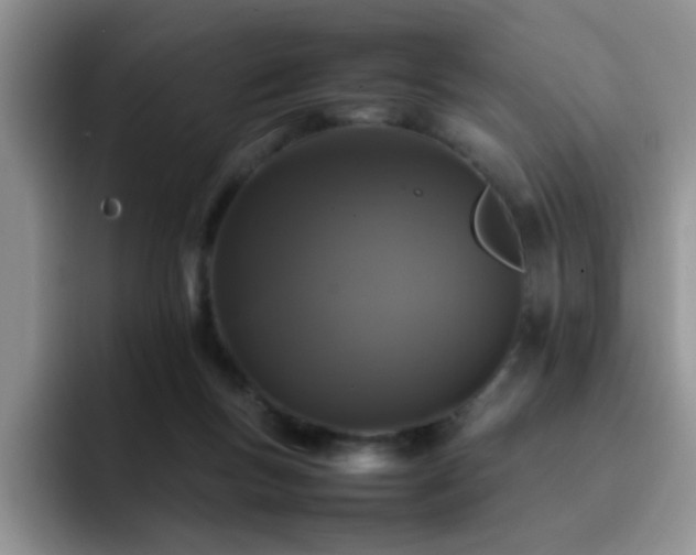 X0000092230167200709141112