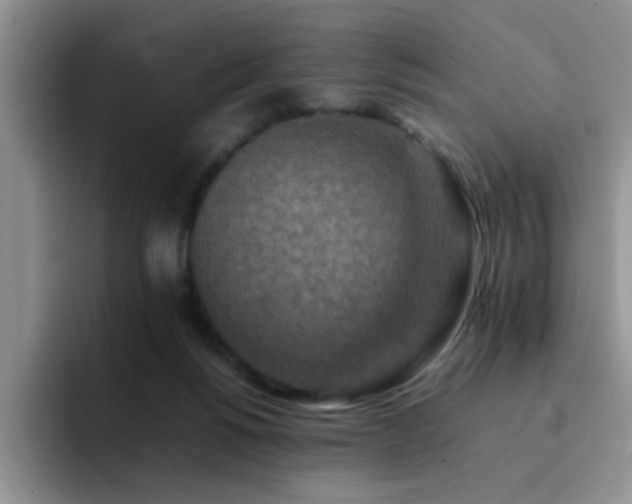 X0000092230168200709141112