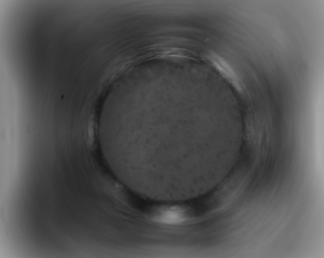 X0000092230169200709141112