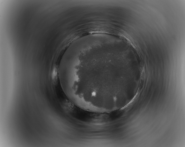 X0000092230191200709141112