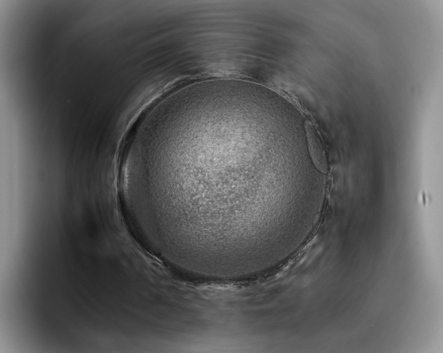 X0000092230194200709141112