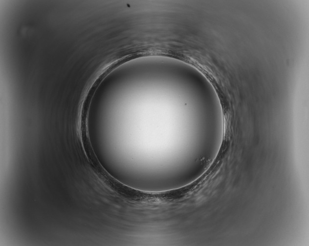 X0000092230195200709141112