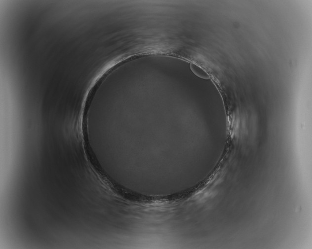 X0000092230196200709141112