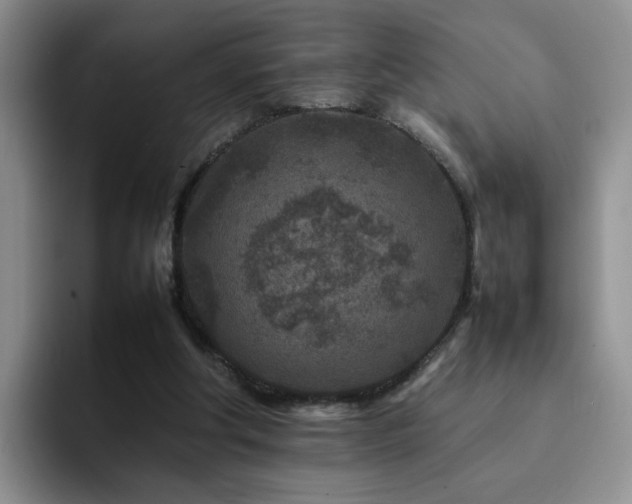 X0000092230202200709141112