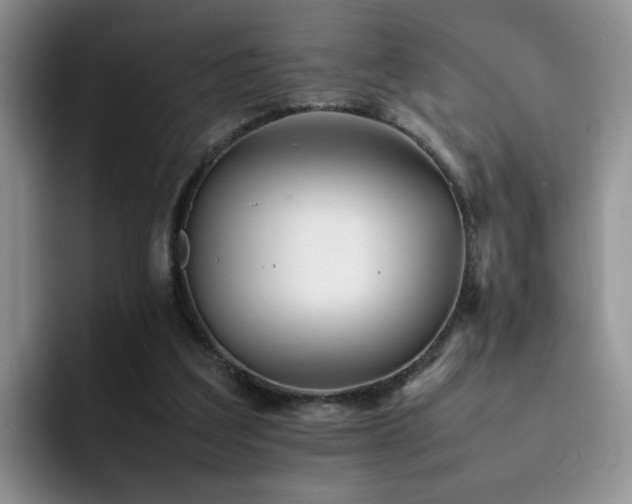 X0000092230203200709141111