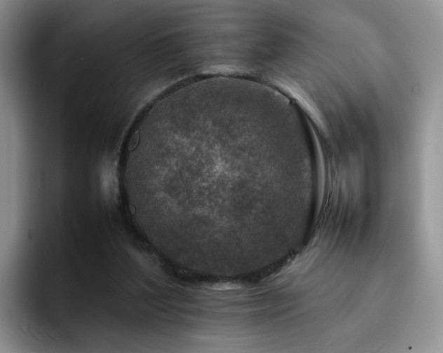 X0000092230204200709141111