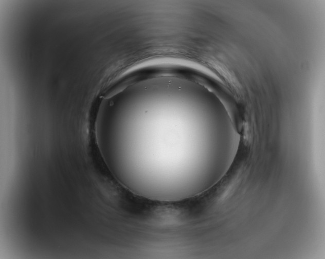 X0000092230207200709141111
