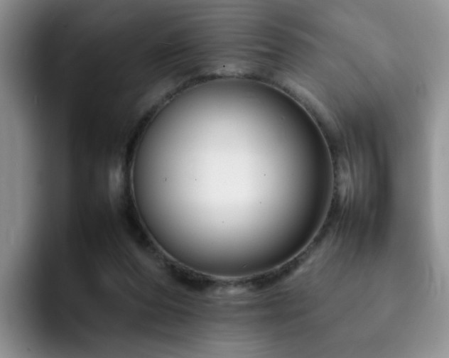X0000092230208200709141111