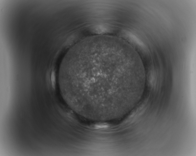 X0000092230214200709141111