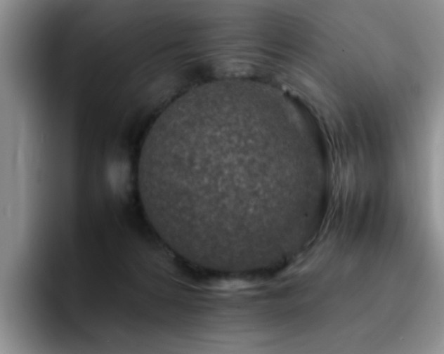 X0000092230224200709141111