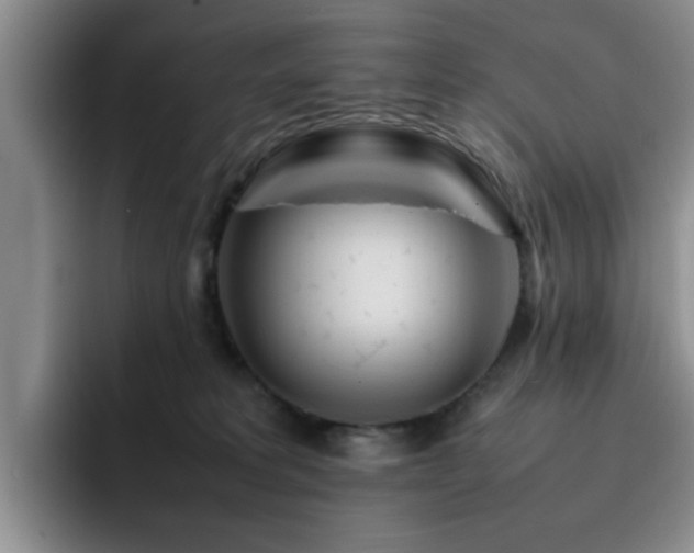 X0000092230229200709141111