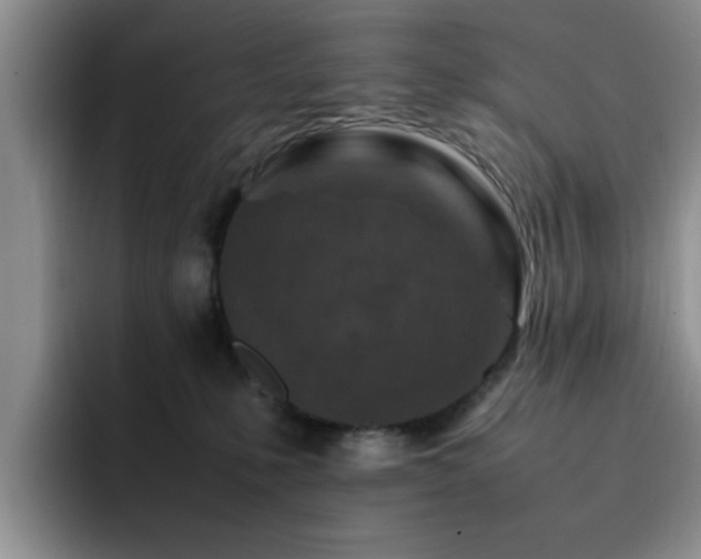 X0000092230231200709141111