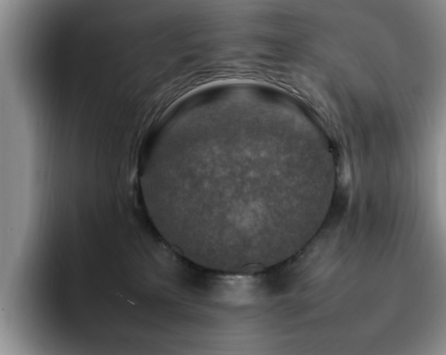 X0000092230233200709141111