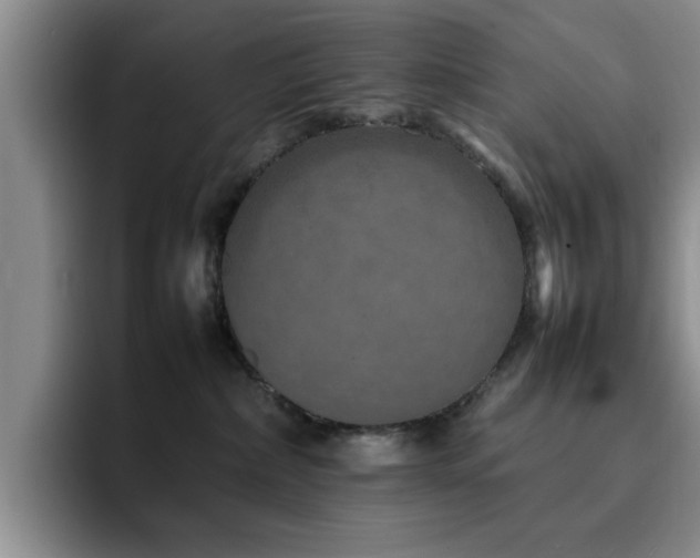 X0000092230236200709141111