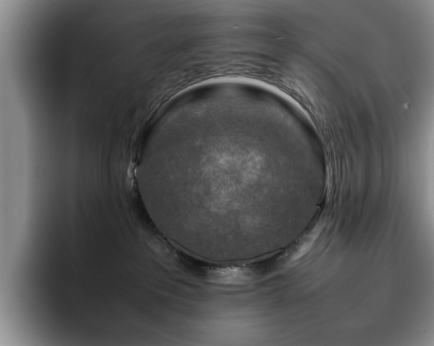 X0000092230237200709141111