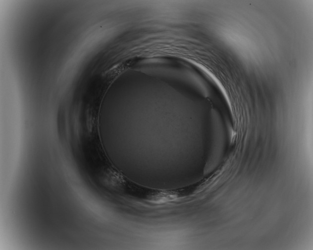 X0000092230239200709141111