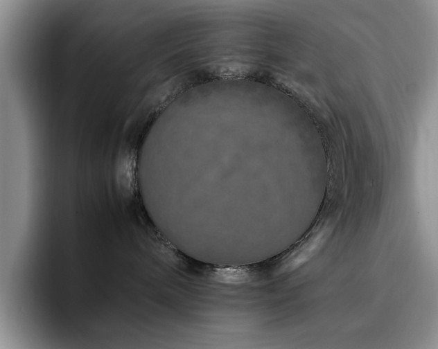 X0000092230240200709141111