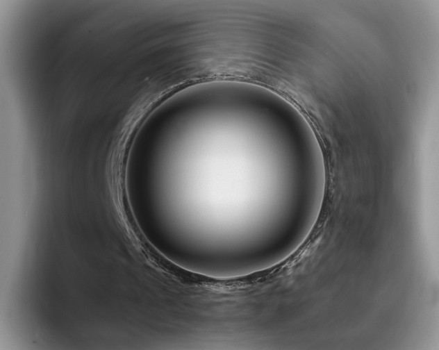 X0000092230241200709141111