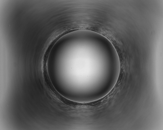 X0000092230242200709141111