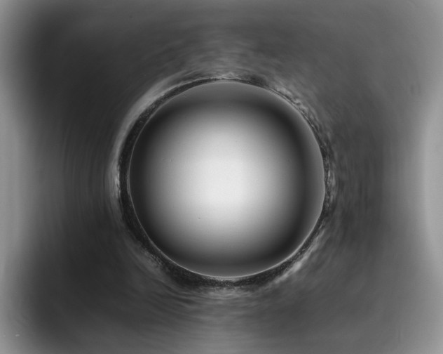 X0000092230246200709141111