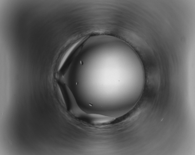 X0000092230256200709141111