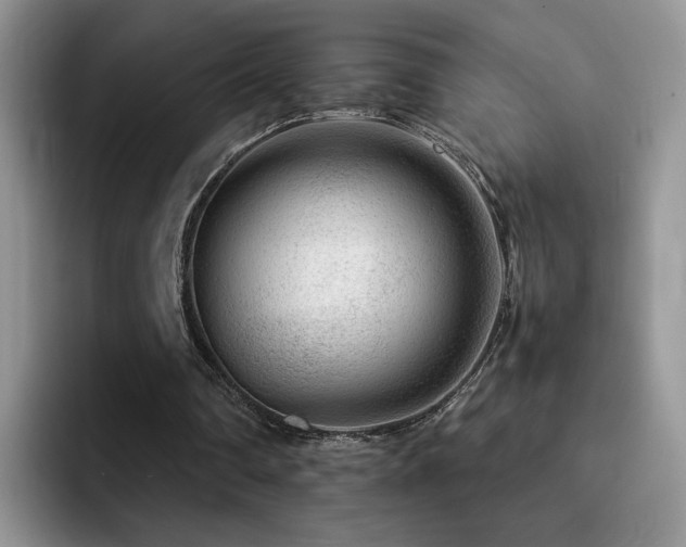 X0000092230290200709141110