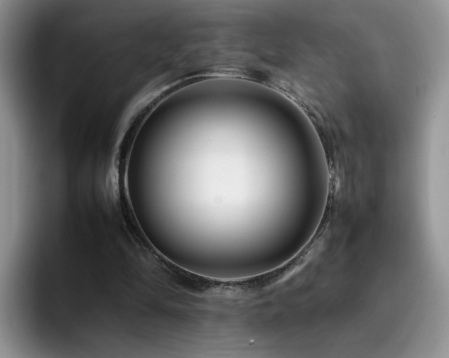 X0000092230294200709141110