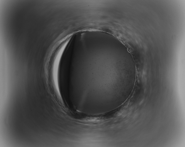 X0000092230295200709141110