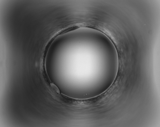 X0000092230297200709141110