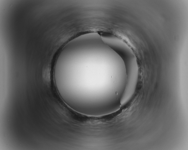 X0000092230299200709141110