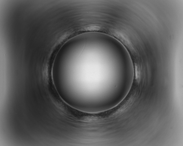 X0000092230300200709141110