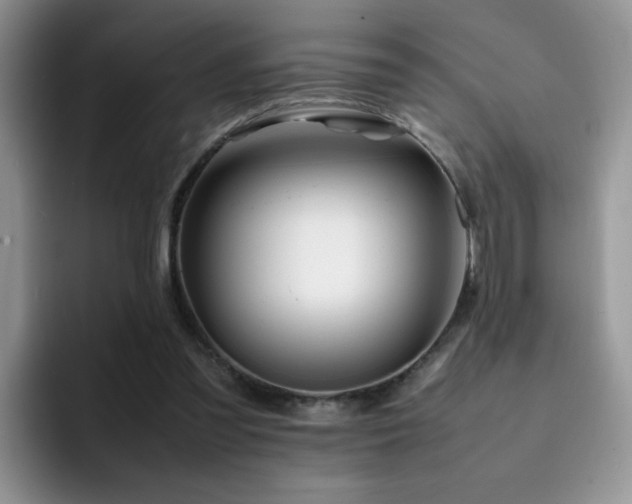 X0000092230301200709141110