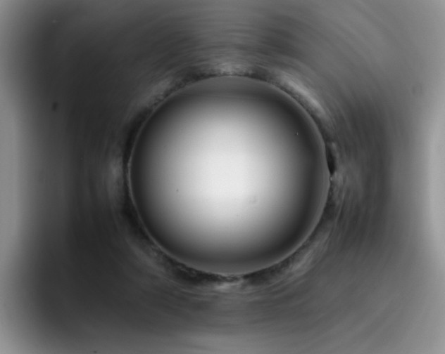 X0000092230306200709141110