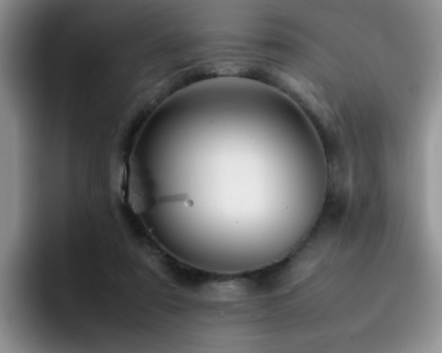 X0000092230307200709141110