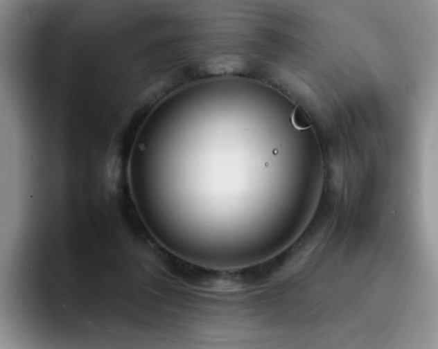 X0000092230308200709141110