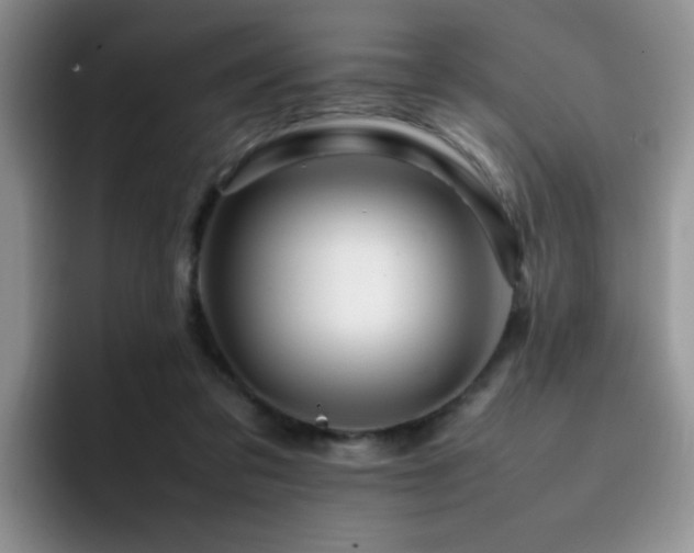 X0000092230309200709141110