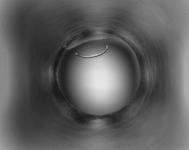 X0000092230312200709141110