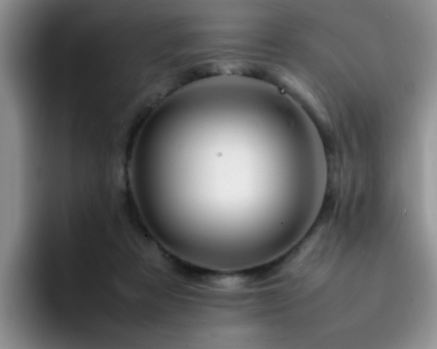 X0000092230313200709141110