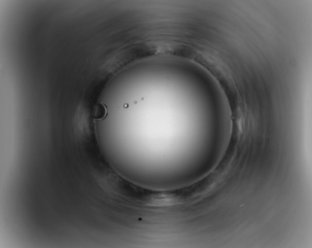 X0000092230316200709141110