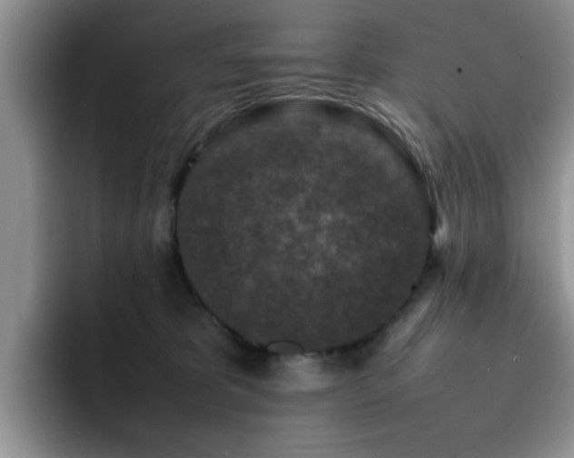 X0000092230325200709141110