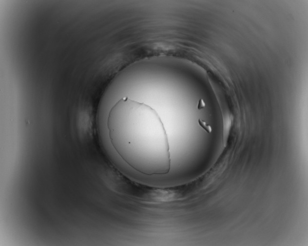 X0000092230328200709141110