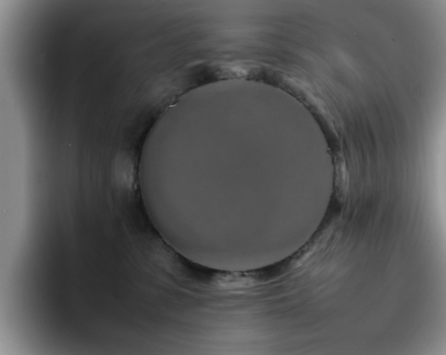 X0000092230331200709141110