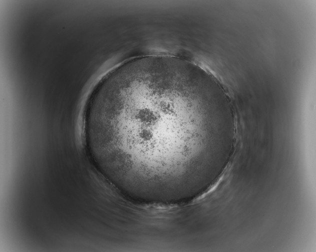 X0000092230343200709141109