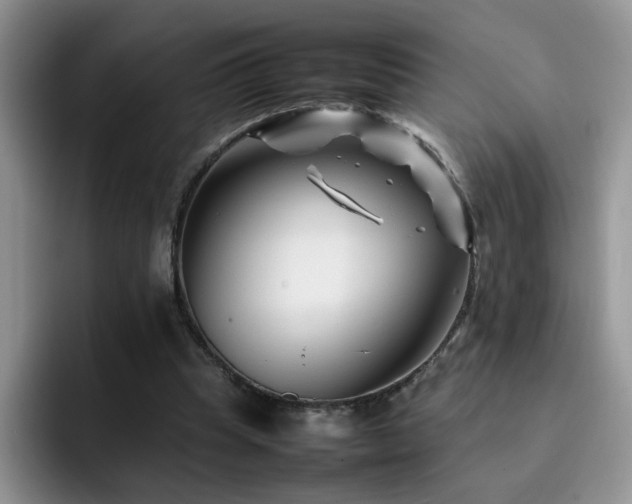 X0000092230345200709141109