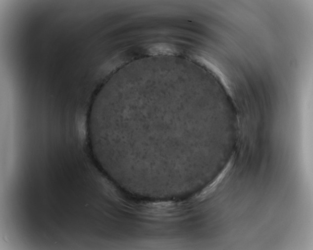 X0000092230353200709141110