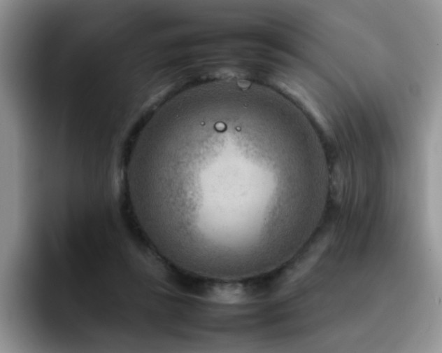 X0000092230355200709141110